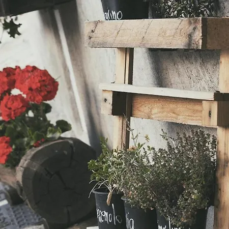 Alleve Ristorante Hotel